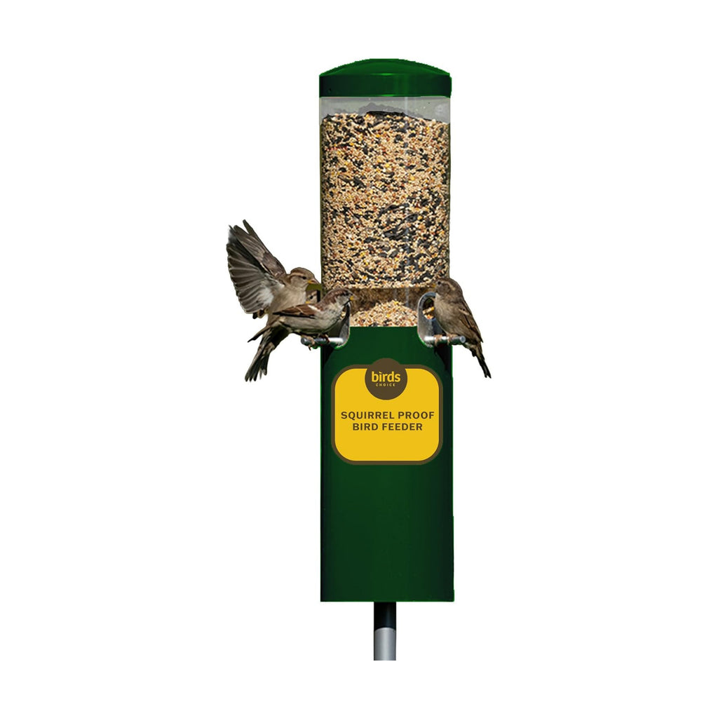 Birds Choice Classic Squirrel Proof Bird Feeder with Pole Mount | Tube Bird Feeder for Cardinals, Chickadees, Woodpeckers | Sturdy Steel for Long-Lasting Use | Backyard Bird Seed Dispenser | Green