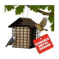 More Birds Double Suet Cake Feeder, Weather Guard, Steel Construction