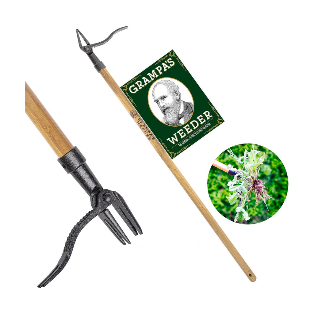 Grampa's Weeder Original Stand Up Weed Puller Tool with Bamboo Long Handle | 4-Claw Steel Head • Weeding Tool • Weed
