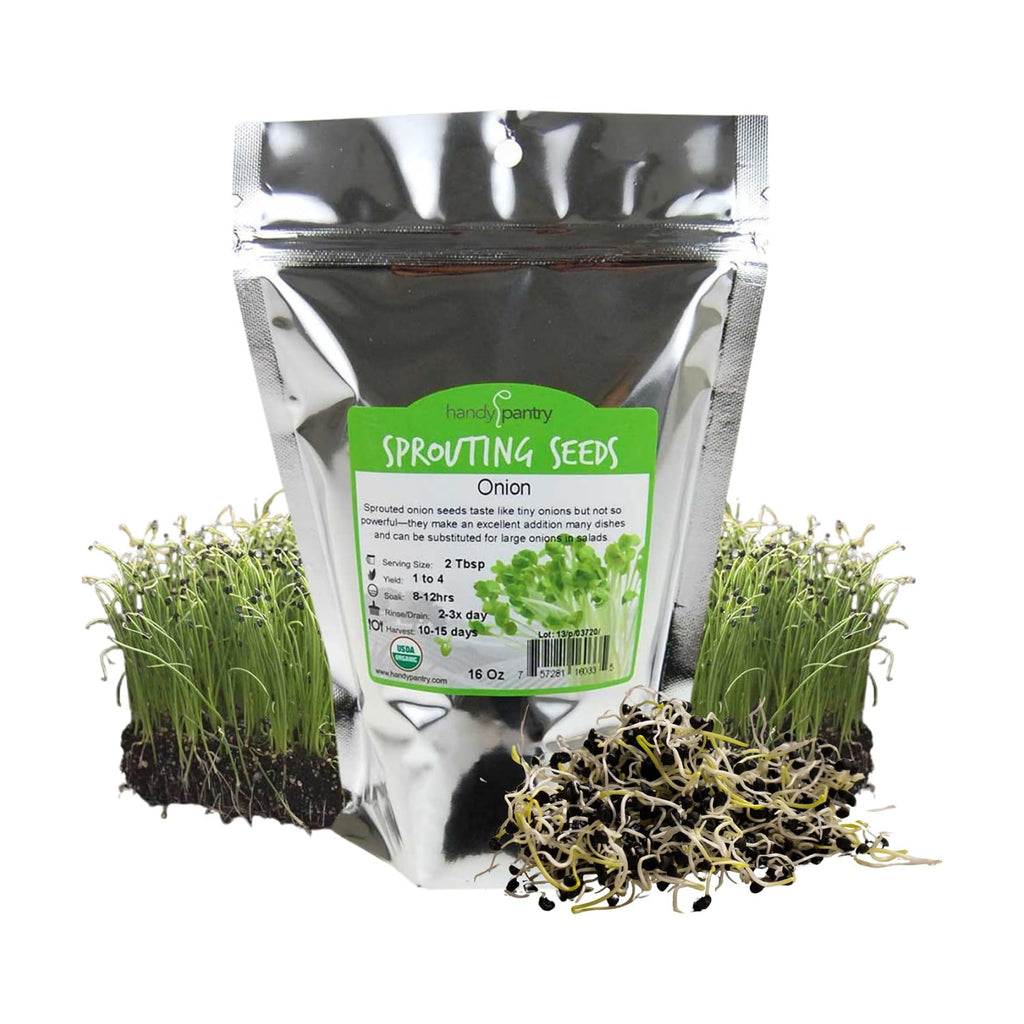 Handy Pantry Onion Sprouting & Microgreens Seeds – 1 LB – Non-GMO | Chemical-Free – High-Germination Seeds Fresh Onion