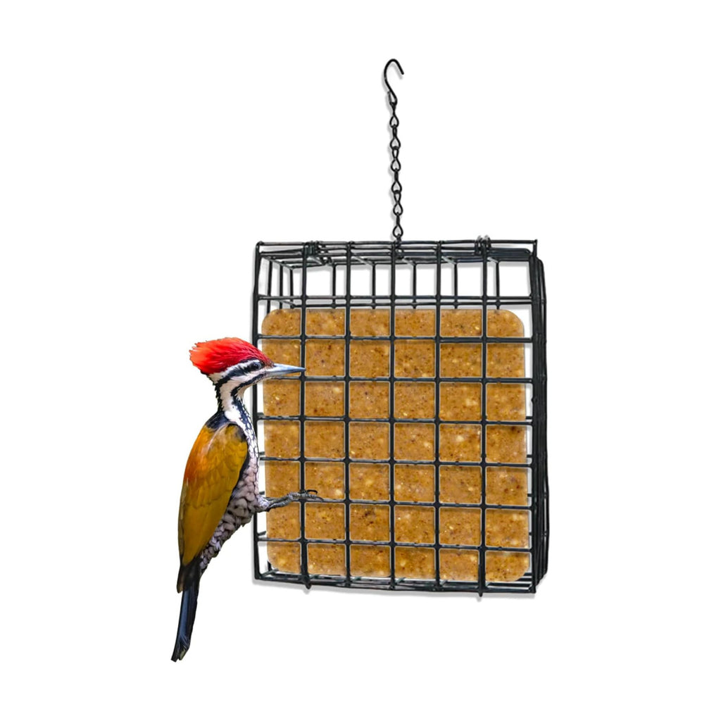 Birds Choice Suet Cage Feeder, Holds 1 Suet Cake | Hanging Bird Suet Feeder for Woodpeckers, Jays, Nuthatches | Vinyl Coated Grids | Sturdy for Garden, Backyard, Outdoor | 4.75" L x 1.625" W x 6" H