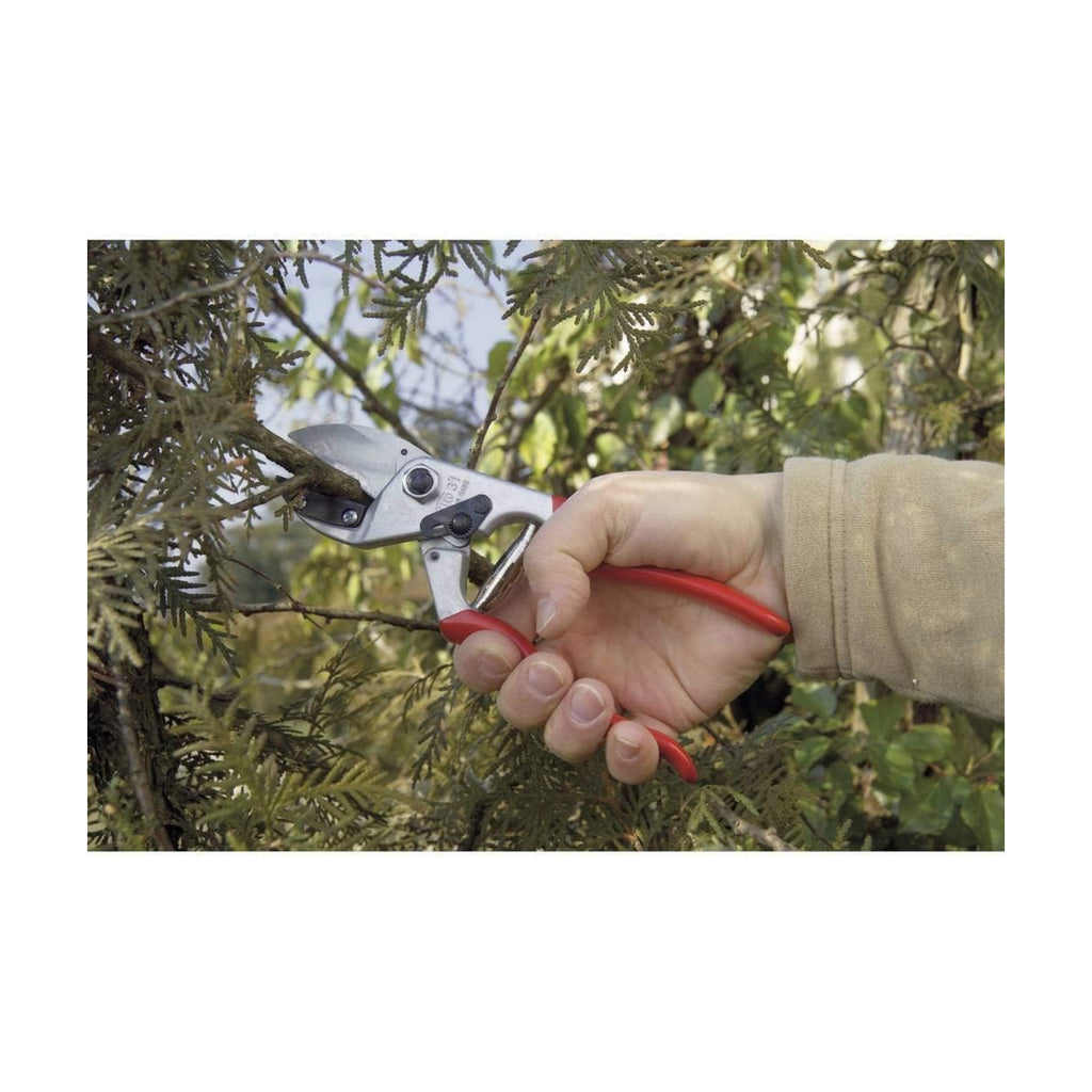 Felco F31 Pruning Shears – 8.3" Garden Clippers with Anvil Blade for Dry & Hard Wood | Hand Pruner for Gardening