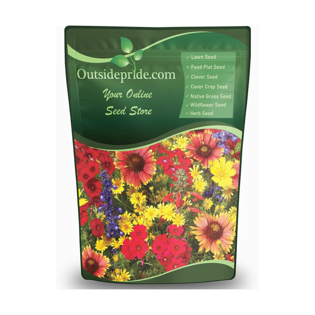 Outsidepride Texas & Oklahoma Wildflower Seed Mix - 1 lb. Drought-Tolerant, Blend of Annual & Perennial Flower Seeds