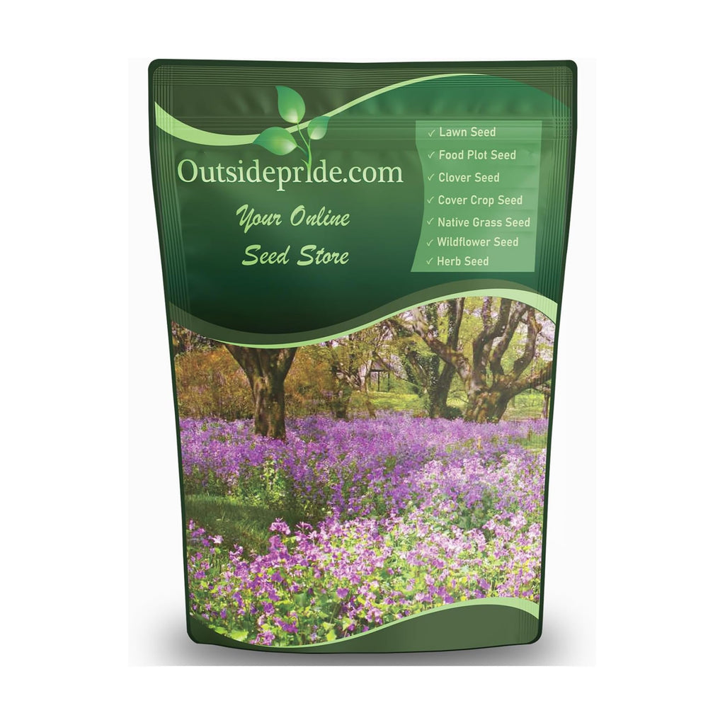 Outsidepride Dame's Rocket Flower Seeds - 1 Lb. Perennial, Easy to Grow, Deer Resistant & Self-Seeding Wildflower Seeds