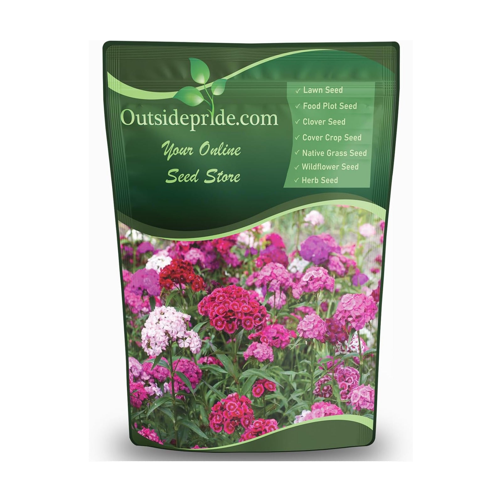 Outsidepride Sweet William Dianthus Seeds - 1 Lb. Perennial, Winter Hardy Wildflower Seeds w/Fragrant & Vibrant Blooms