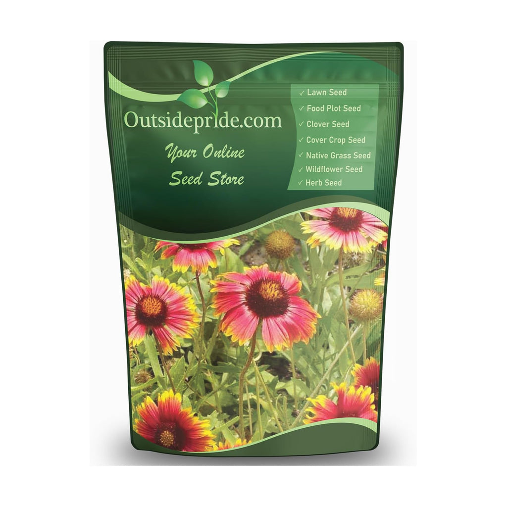 Outsidepride Gaillardia Aristata Red Blanket Flower Seeds for Planting - 1 lb Perennial Wildflower Seeds