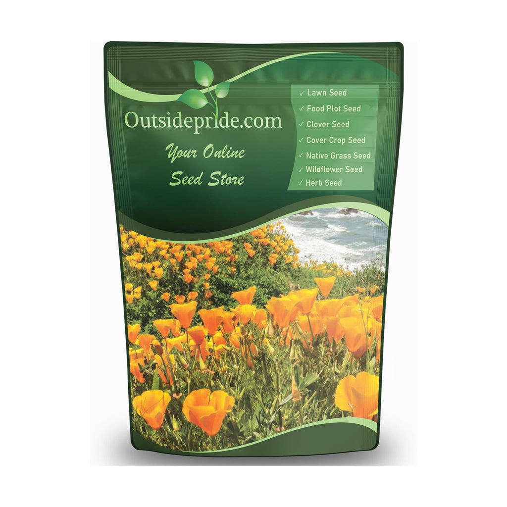 Outsidepride Eschscholzia Orange California Poppy Seeds - 1 lb. Annual, Native, Drought Tolerant Wildflower Seeds