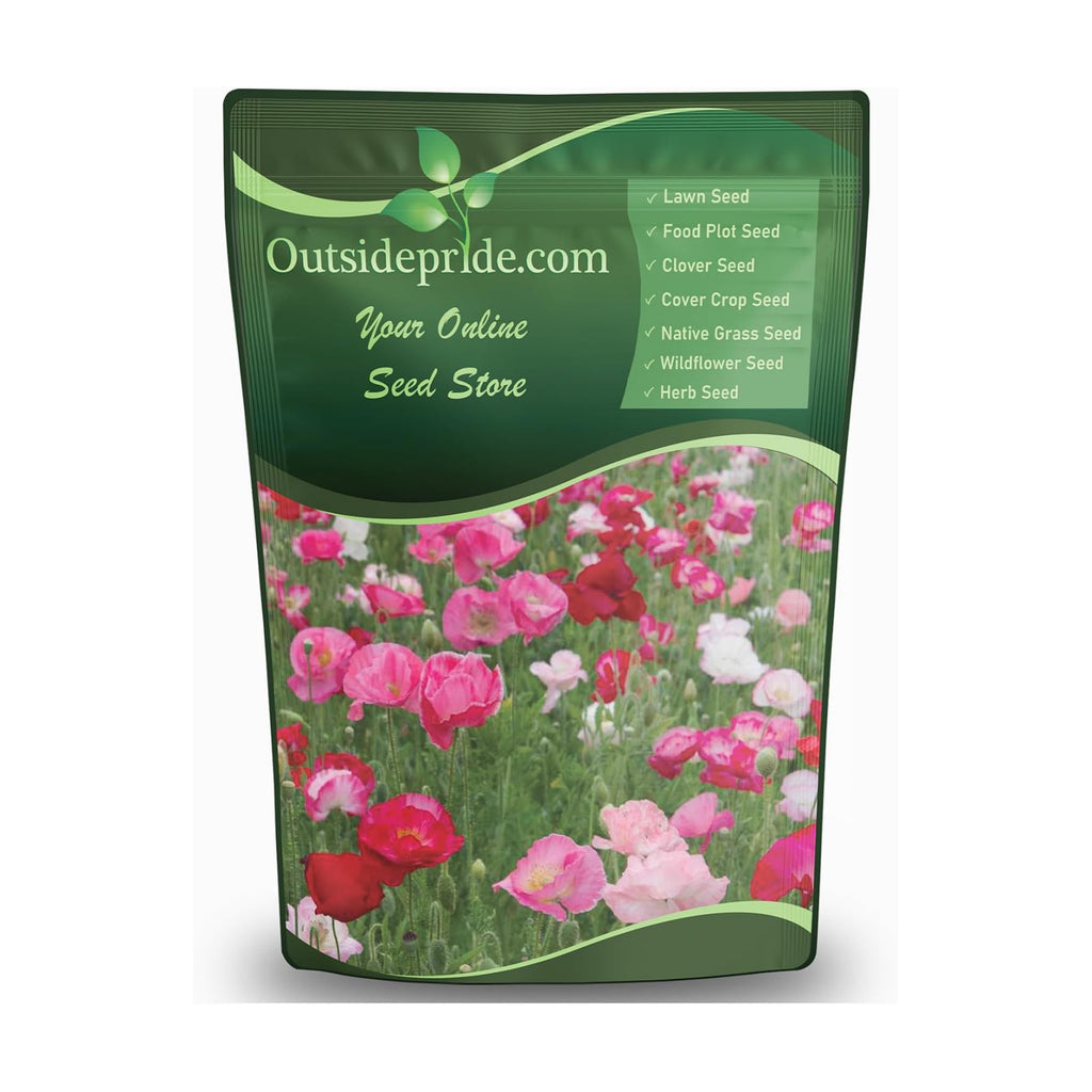 Outsidepride Shirley Poppy Seeds for Planting - 1 lb Annual, Drought-Tolerant & Easy to Grow Wildflower Seeds with