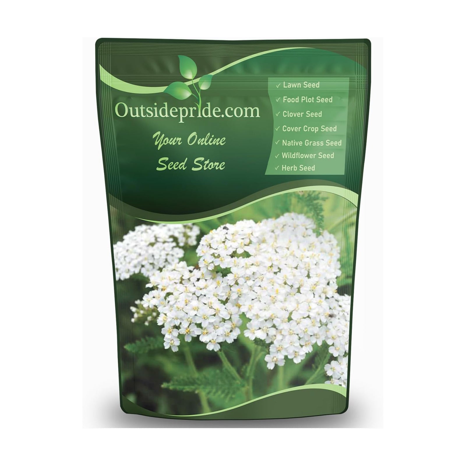 Outsidepride Achillea Millefolium Wild White Yarrow Seeds - 1 Lb. Perennial Flower Seeds, Drought Resistant, Low