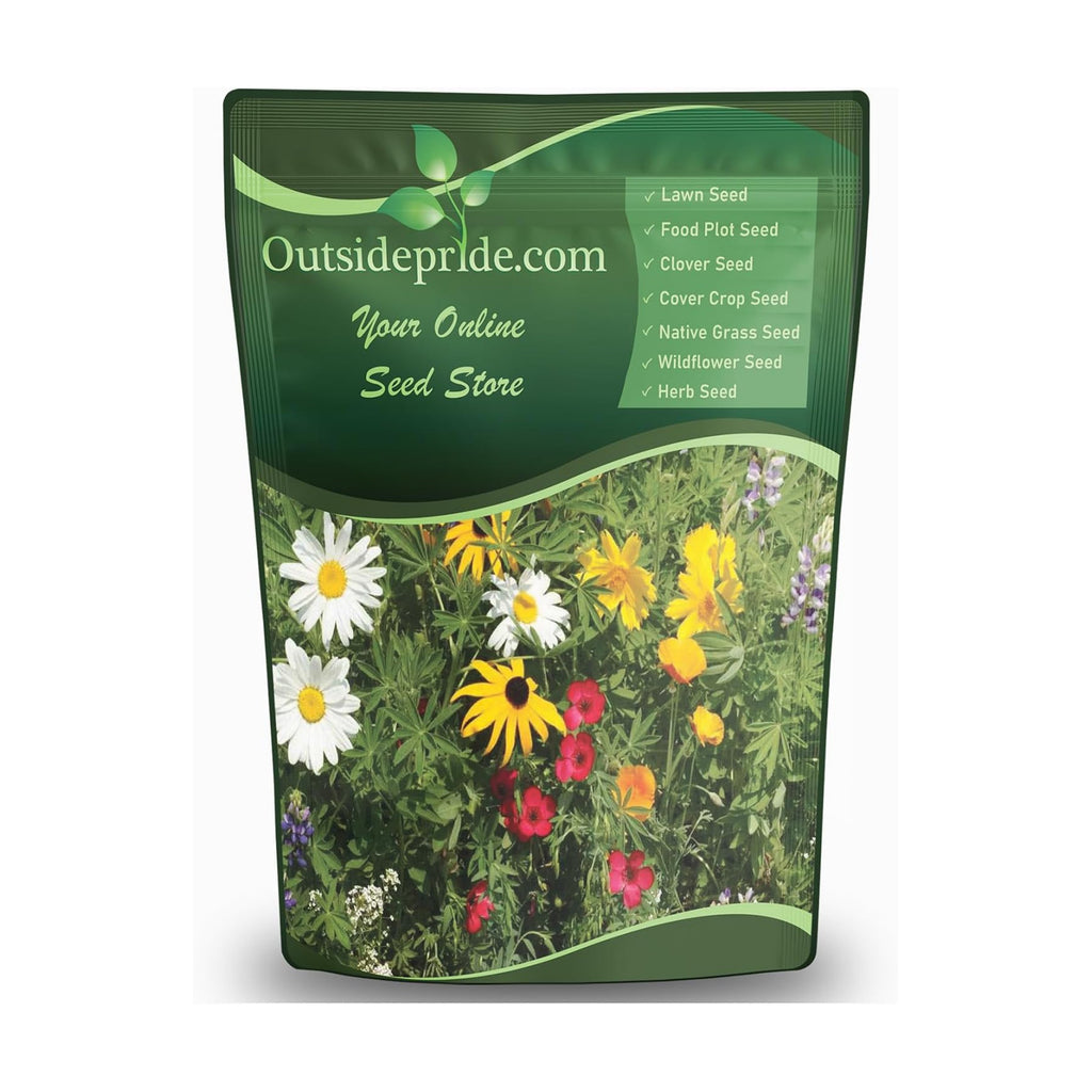 Outsidepride Perennial Wild Flower Seed Mix - 1 lb. Diverse, Long-Lasting Blooms, Easy to Grow Perennial Flower Seeds