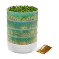 KITCHEN CROP VKP Brands 4-Tray Sprouter