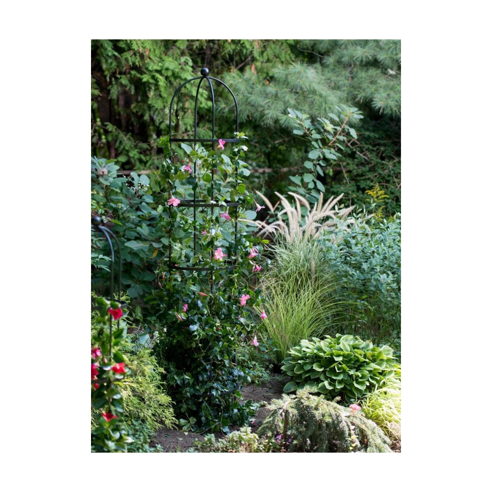 Gardener's Supply Company 7 Ft Essex Round Trellis | Sturdy Powder-Coated Steel Freestanding Obelisk Garden Trellis for