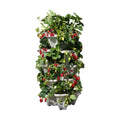 Mr. Stacky 5 Tiered Vertical Gardening Planter, Indoor & Outdoor