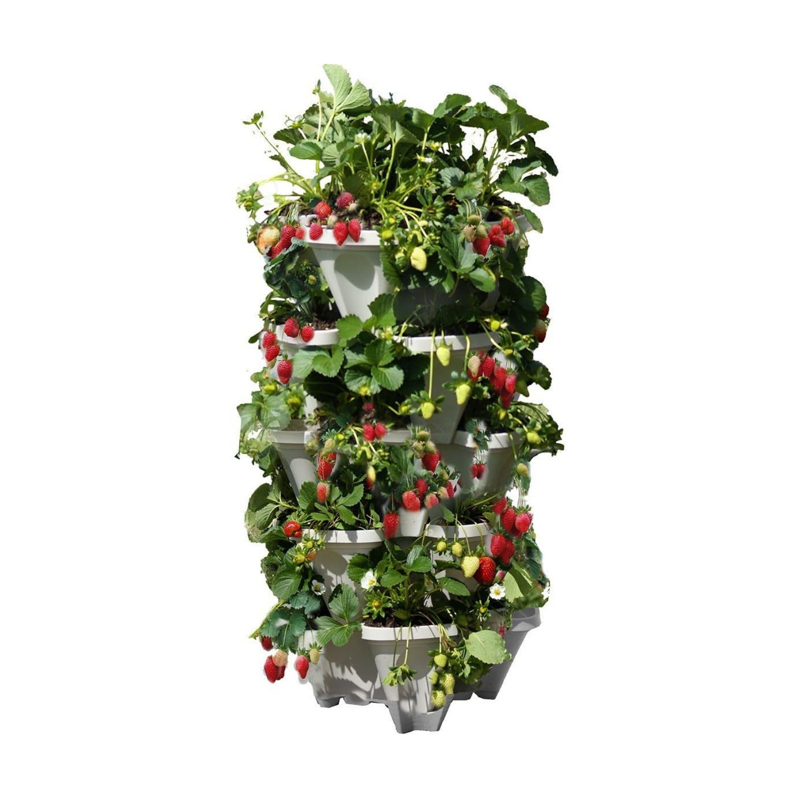 Mr. Stacky 5 Tiered Vertical Gardening Planter, Indoor & Outdoor