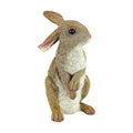 Design Toscano QM200681 Hopper the Bunny Standing Rabbit Indoor/Outdoor Garden Statue, 6 Inches Wide, 11 Inches Tall