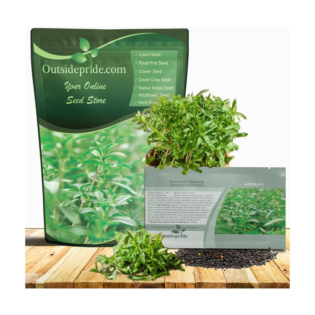 Outsidepride Summer Savory Seeds - 1 lb Annual Culinary Herb Seeds for Planting with Aromatic Leaves, Drought Tolerant