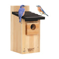 Nature's Way Bird Products CWH3 Cedar Bluebird Box House