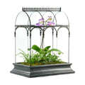 H Potter Large Glass Terrarium 22 Inch Tall, Curved Glass Wardian Case Planter with Resin Base, Indoor Display for