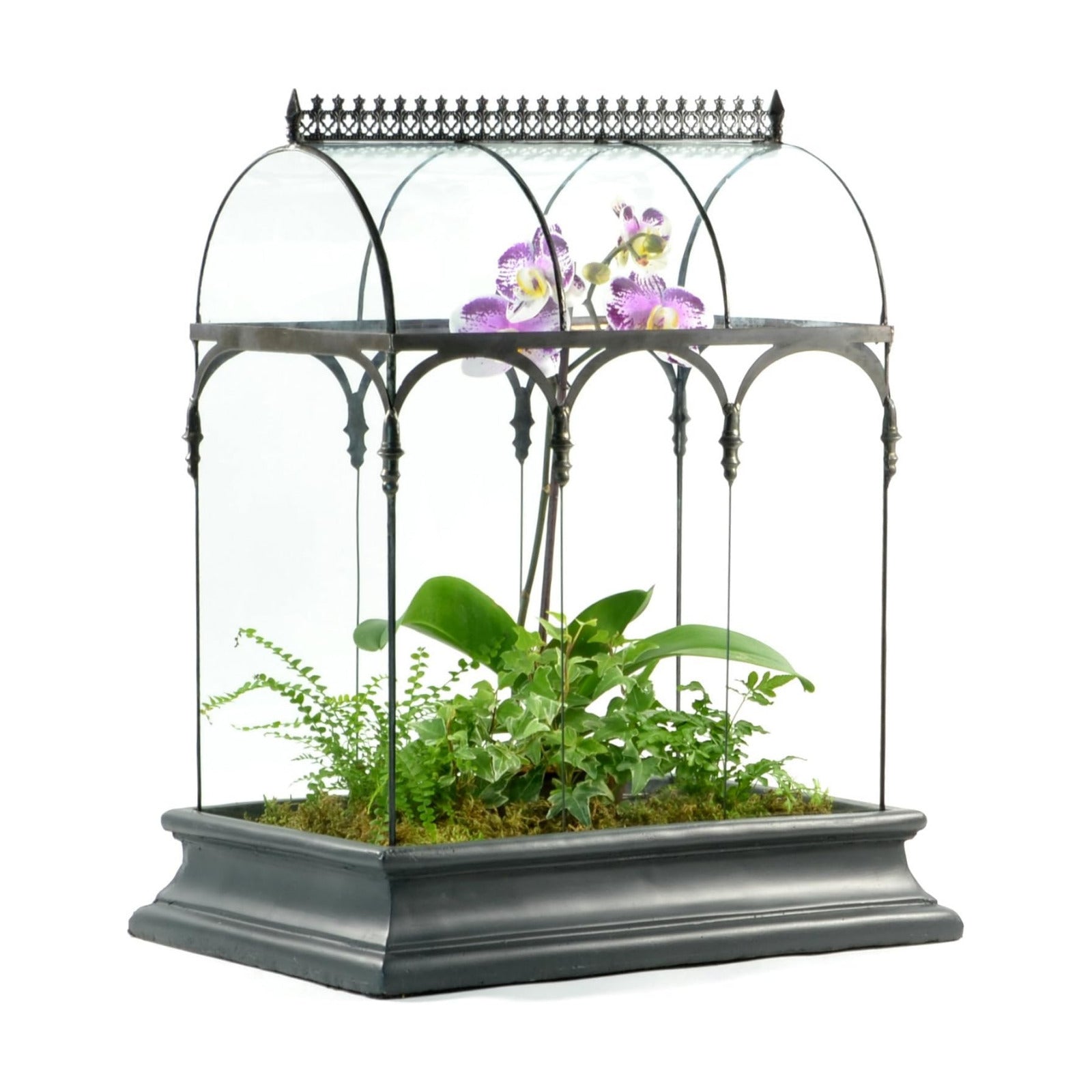 H Potter Large Glass Terrarium 22 Inch Tall, Curved Glass Wardian Case Planter with Resin Base, Indoor Display for