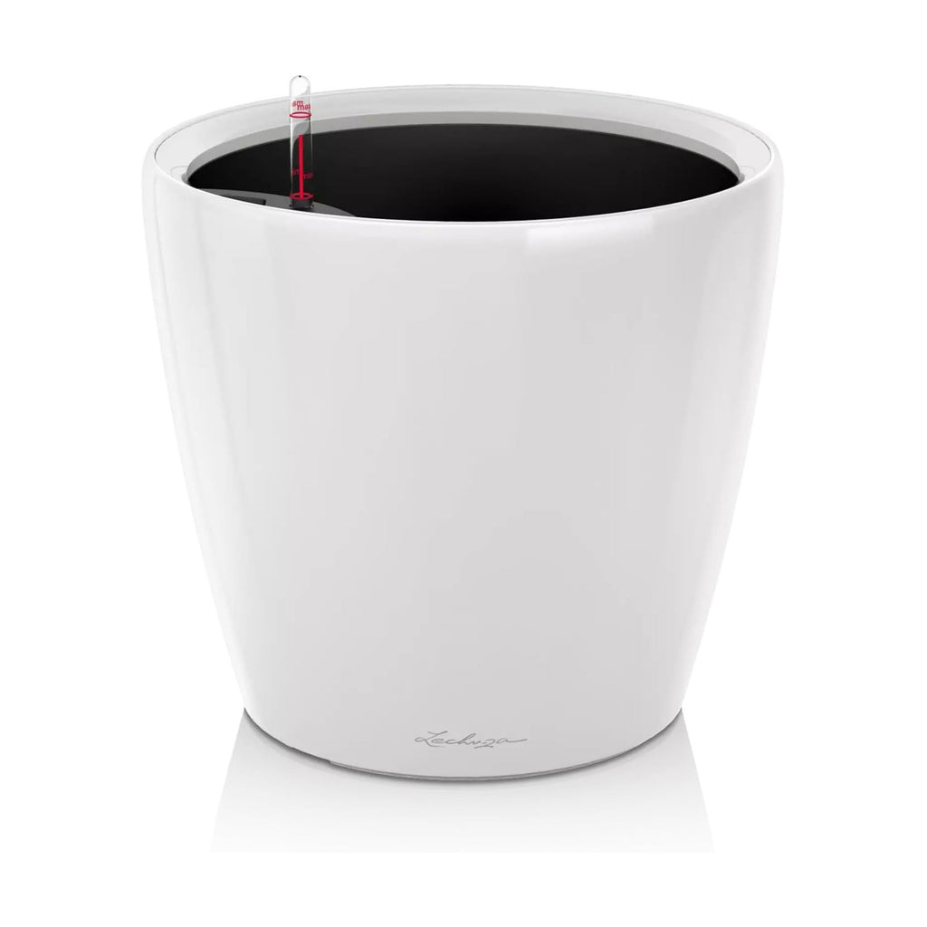 LECHUZA Self Watering Pots for Indoor Plants, 1 Pack 8 Inch (Glossy White) | Classico 21 LS, D8.3 H7.9 Inch, for