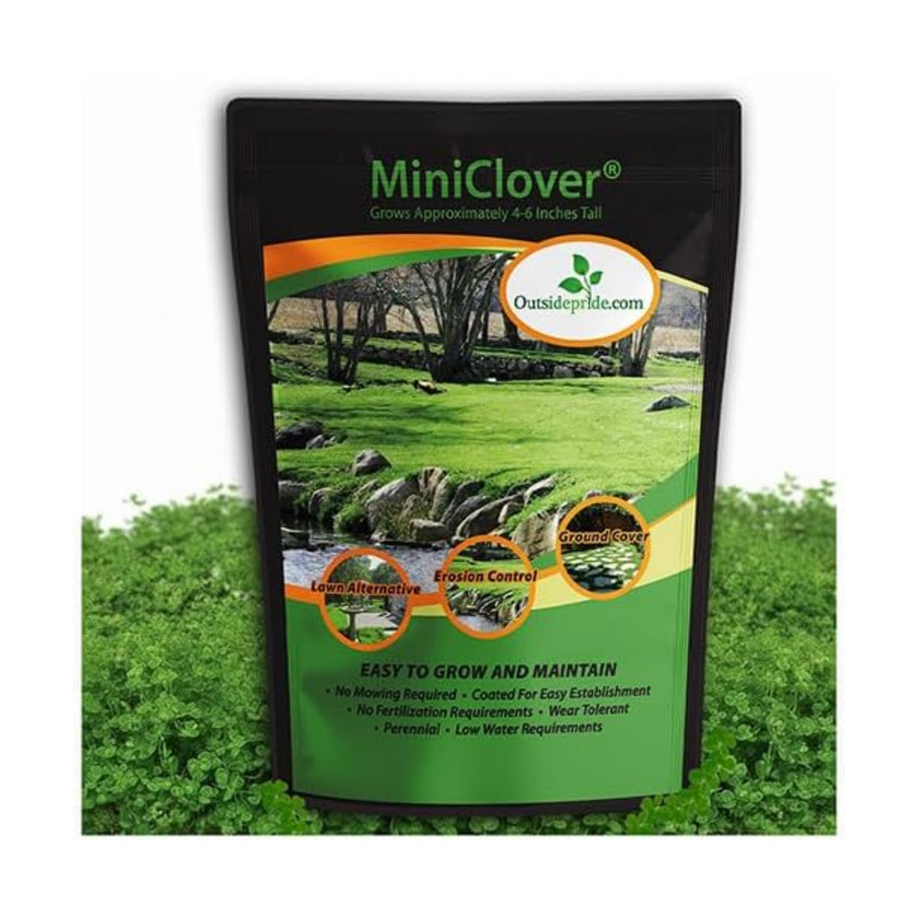 Outsidepride Perennial White MiniClover Seed - 1 lb. Dwarf, Small-Leaved, Drought & Wear-Tolerant Micro Clover Seeds
