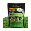 Outsidepride Perennial White MiniClover Seed - 1 lb. Dwarf, Small-Leaved, Drought & Wear-Tolerant Micro Clover Seeds
