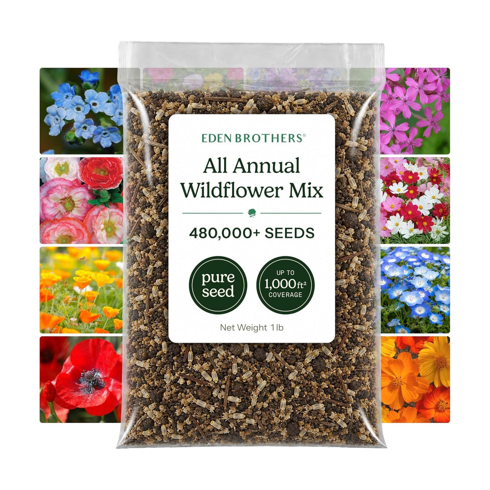 Eden Brothers All Annual Wildflower Mixed Seeds for Planting, 1 lb | 480,000+ Seeds with Sunflower, Indian Blanket