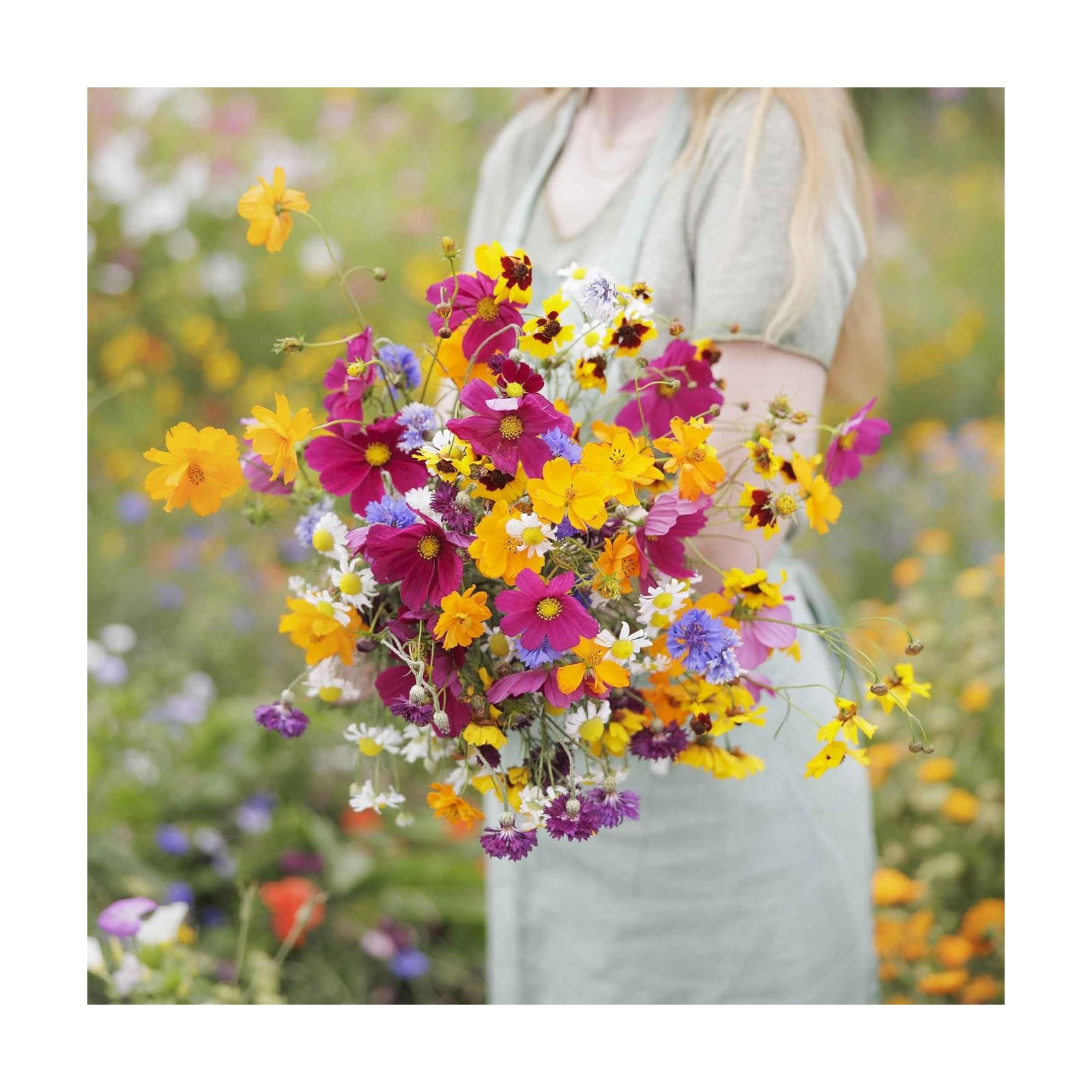 Eden Brothers Midwest Wildflower Mixed Seeds for Planting, 5 lb | 2,400,000+ Seeds with Cornflower, Candytuft, Mexican