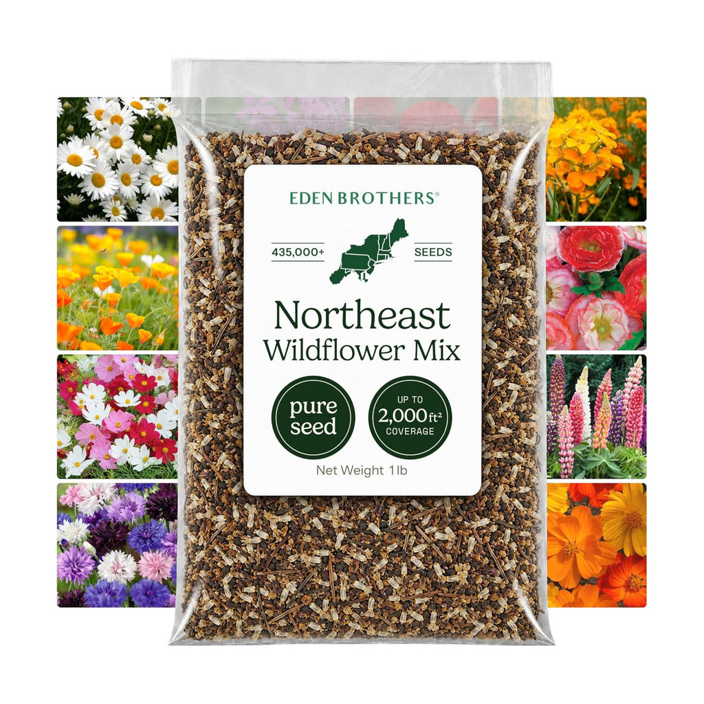 Eden Brothers Northeast Wildflower Mixed Seeds for Planting, 1 lb, 480,000+ Seeds with Cosmos, Candytuft, Shasta Daisy