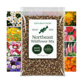 Eden Brothers Northeast Wildflower Mixed Seeds for Planting, 1 lb, 480,000+ Seeds with Cosmos, Candytuft, Shasta Daisy