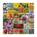 Eden Brothers Southeast Wildflower Mixed Seeds for Planting, 1 lb | 480,000+ Seeds with Cornflower, Blanket Flower