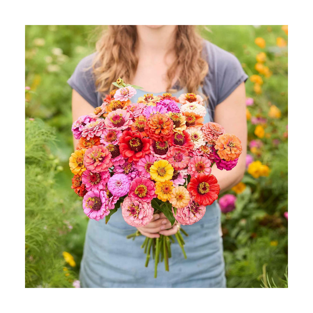 Eden Brothers Zinnia Seeds - Pumila/Cut & Come Again Mix, 1/4 lb | Non-GMO Seeds for Planting, Low-Maintenance Flower