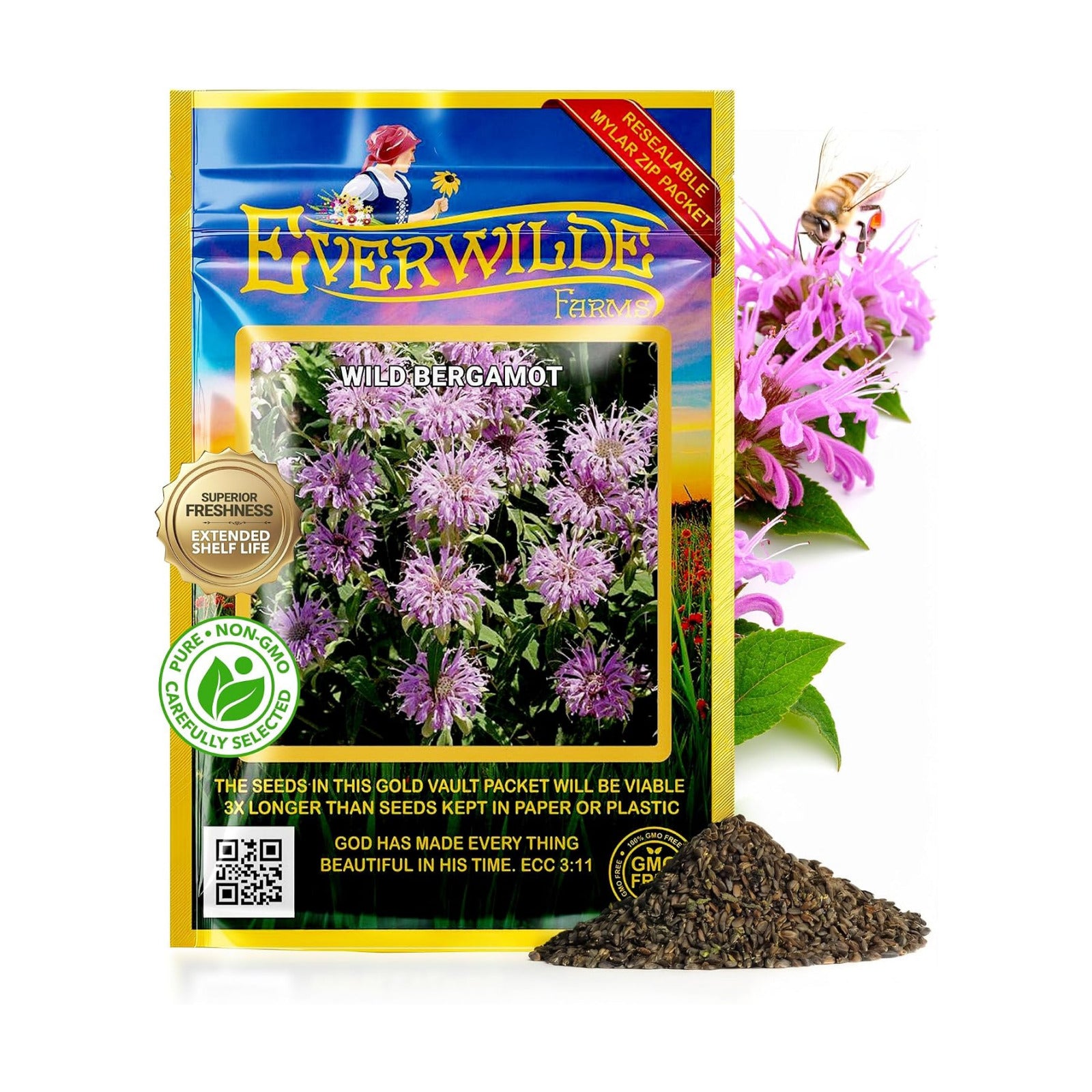 Everwilde Wild Bergamot Seeds 1/4 lb – Native Perennial Wildflower – Attracts Bees, Butterflies & Hummingbirds –
