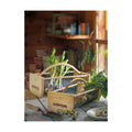 Gardener's Supply Company Garden Harvest Basket | Versatile Gardening & Vegetables Gathering Hod | Natural Smooth Pine