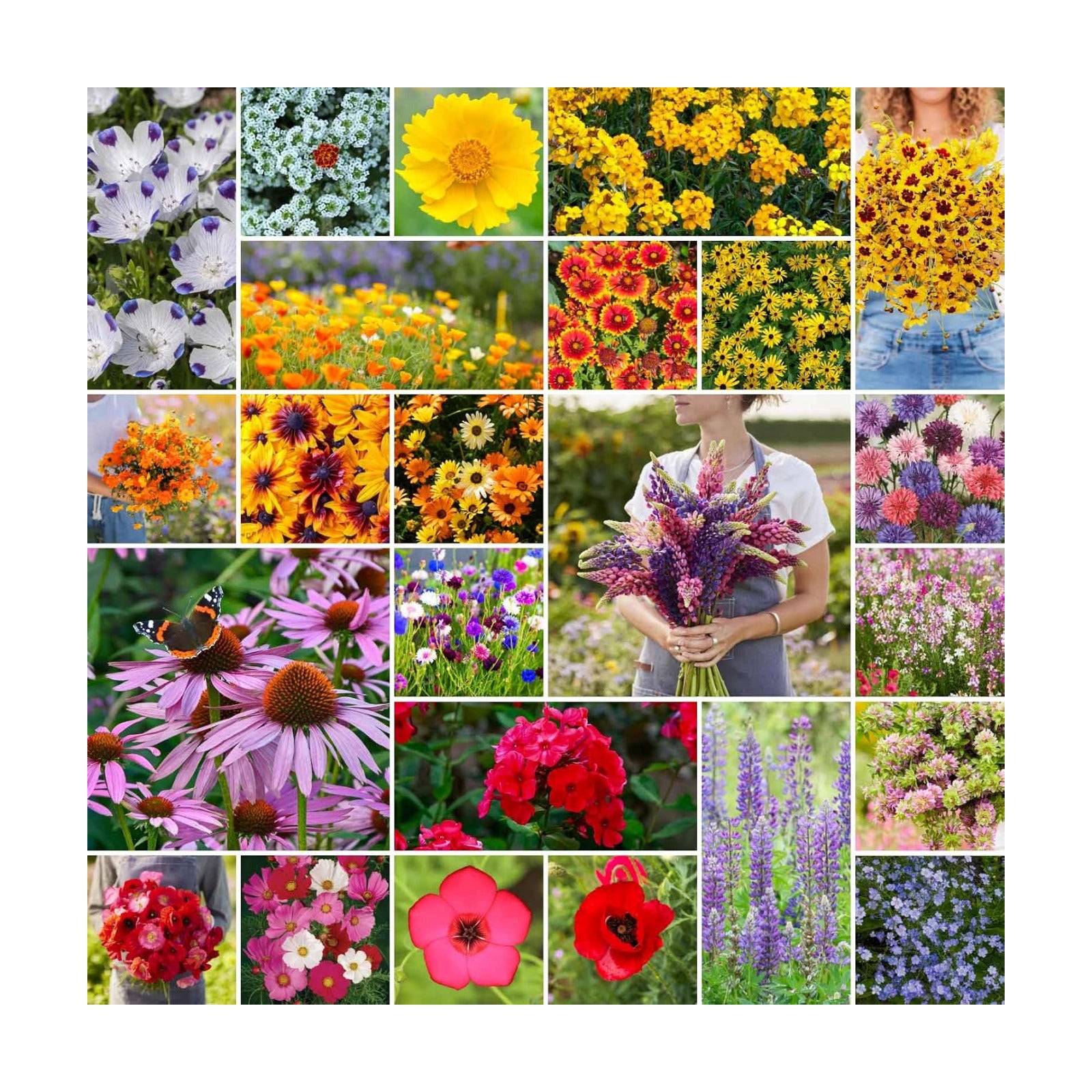 Eden Brothers Southeast Wildflower Mixed Seeds for Planting, 25 lb | 12,000,000+ Seeds with Cornflower, Blanket Flower