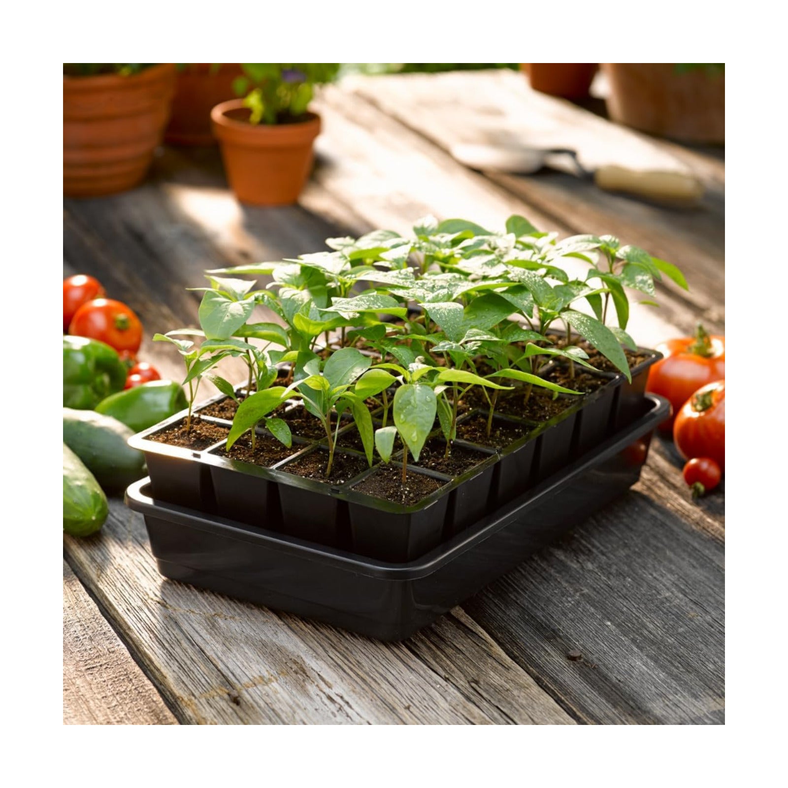 Gardener's Supply Company GrowEase Self Watering Seed Starting Kit | 24- Cell, Holds 3 Quarts of Soil | Capillary Mat