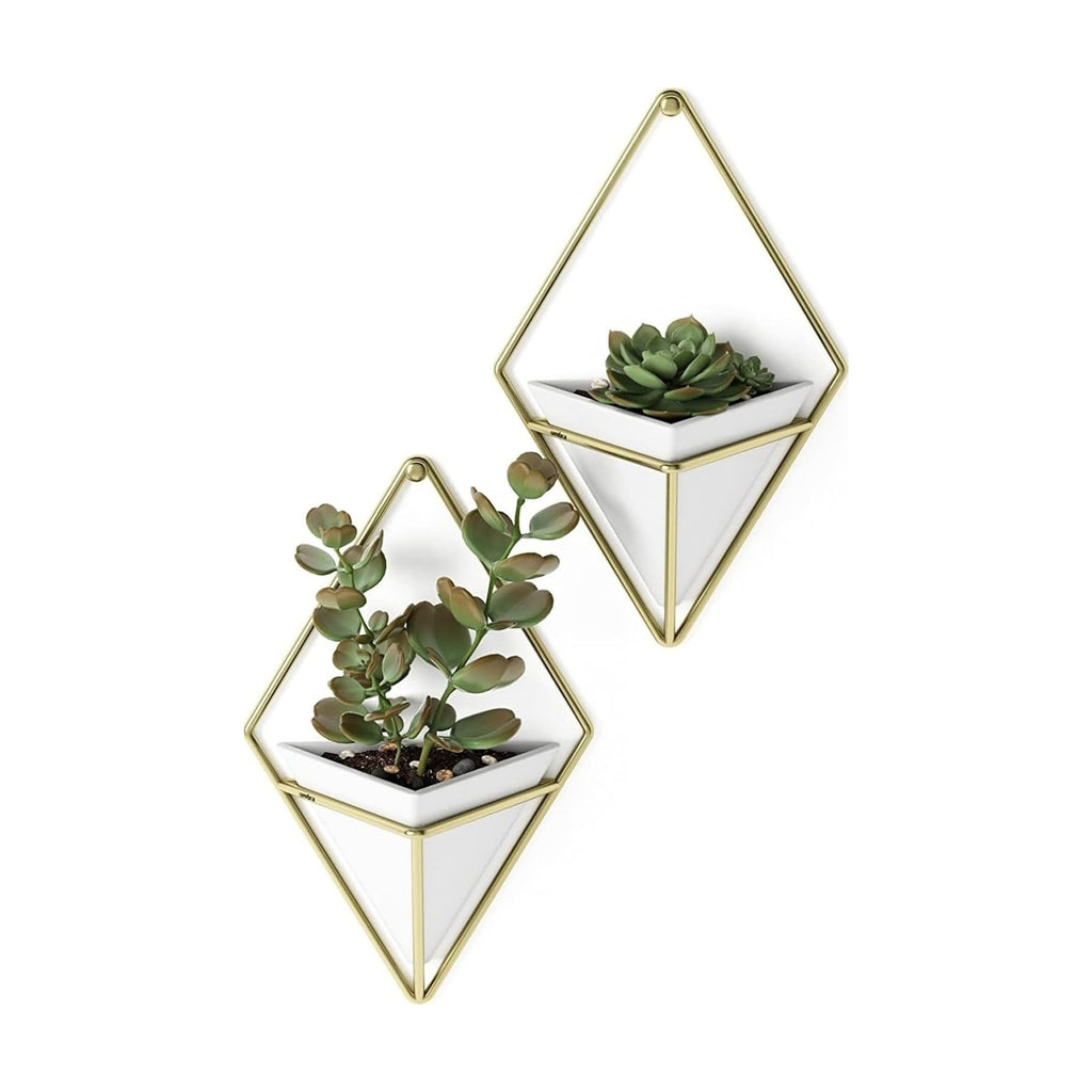 Umbra Trigg Hanging Planter for Small Plants, Set of 2, Small, White/Brass