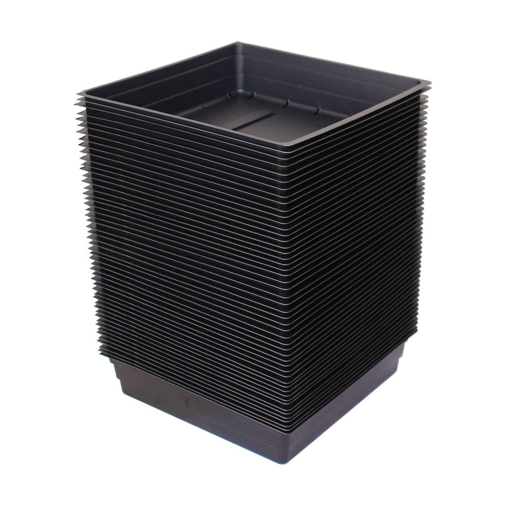 Handy Pantry 10" x 10" Garden Growing Trays with Drain Holes - 50-Pack | Recyclable Plastic Plant Trays for Wheatgrass