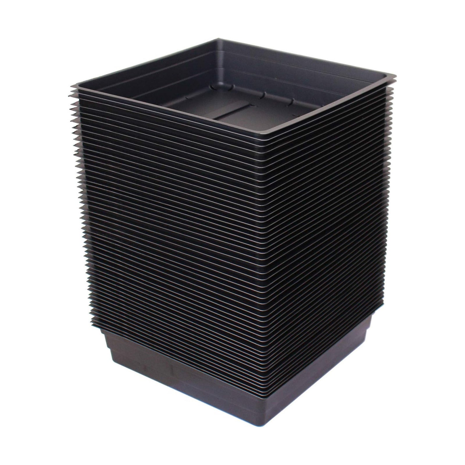 Handy Pantry 10" x 10" Garden Growing Trays with Drain Holes - 50-Pack | Recyclable Plastic Plant Trays for Wheatgrass