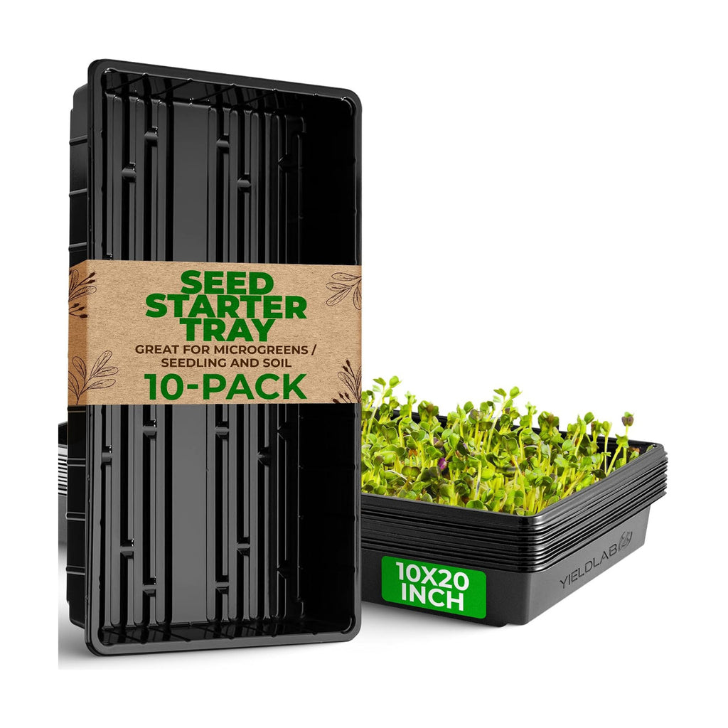 10x20 Inch Black Plastic 10 Pack Plant Propagation Tray No Holes | Growing Trays For Garden, Planting, Seedling, Soil &