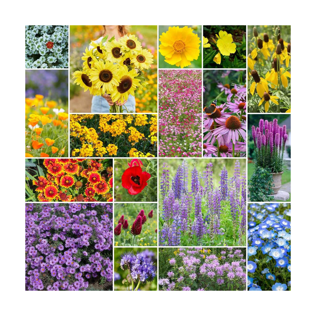 Eden Brothers The Bees Knees Pollinator Wildflower Seed Mix, 1 lb | (543,000+ Seeds), Throw and Grow, 100% Pure, No