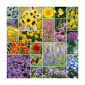 Eden Brothers The Bees Knees Pollinator Wildflower Seed Mix, 1 lb | (543,000+ Seeds), Throw and Grow, 100% Pure, No