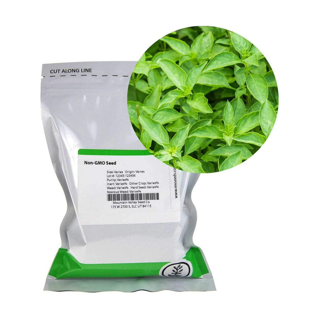 Mountain Valley Seed Co Thai Basil Seeds - (4 Oz) Bulk Herb Seeds | Growing Microgreens, Indoor Gardening: Micro Greens