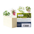 Handy Pantry Micro-Mat Minis Hydroponic Grow Pads - for Organic Production | Plant & Seed Germination: Wheatgrass