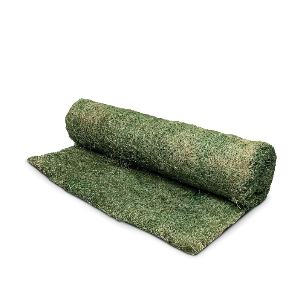 Dewitt Single Net Excelsior Soil Erosion Control Blanket Roll, 4 x 112.5 Feet, Green - Aspen Wood Fiber Mat with