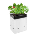 VIVOSUN 50-Pack 5 Gallon Plastic Grow Bags for Plants, Black & White | Excellent Drainage, Root Temperature Protection