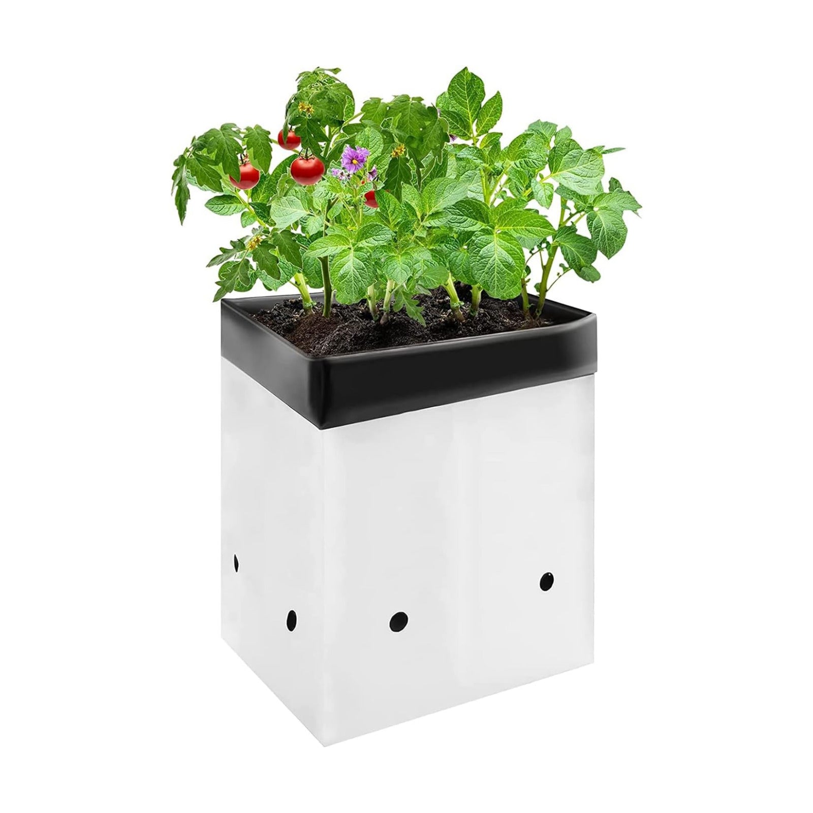 VIVOSUN 50-Pack 5 Gallon Plastic Grow Bags for Plants, Black & White | Excellent Drainage, Root Temperature Protection