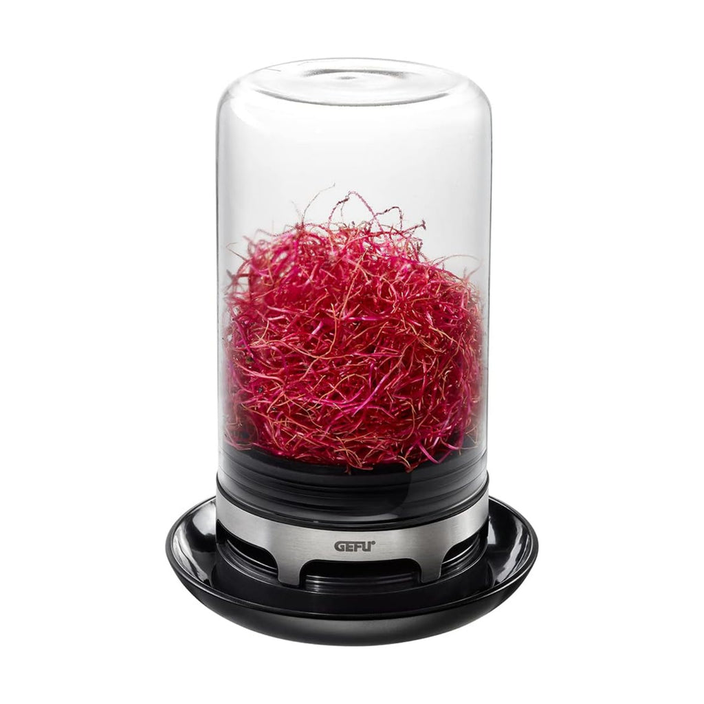 SPROUTING JAR (Black)