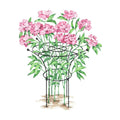 Gardener's Supply Company Essex Plant Support Frame for Peonies, Rose, Ornamental Flower Garden Cage - Wide Top Rings