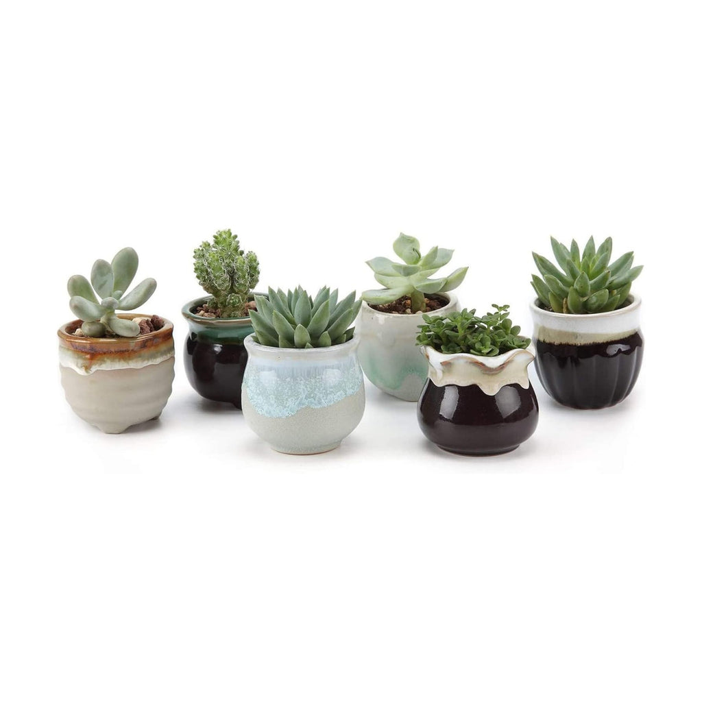 T4U Mini Ceramic Succulent Pots, Small Gift Planters, Retro Decor Set of 6
